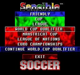 Sensible Soccer — обложка