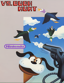 Vs. Duck Hunt