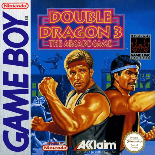 Double Dragon 3: The Arcade Game — обложка
