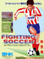 Fighting Soccer