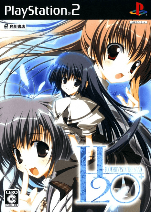 H2O+: Footprints in the Sand