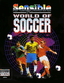 Sensible World of Soccer