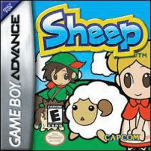 Sheep