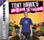 Tony Hawk's American Sk8land